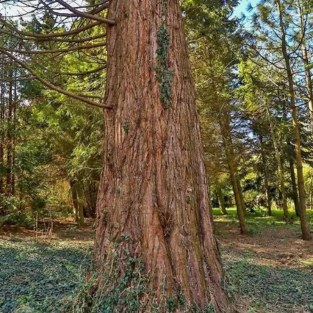 Naturidyll Mariendorf - Zickersche Berge